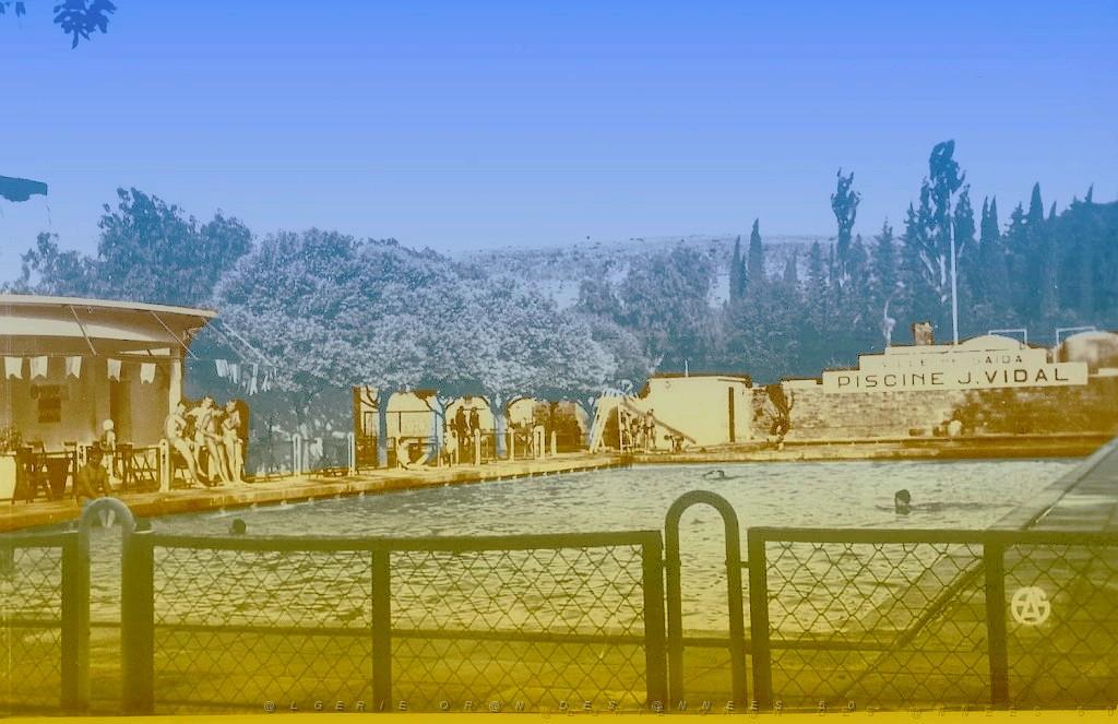 SAIDA 509  PISCINE MUNICIPALE.jpg